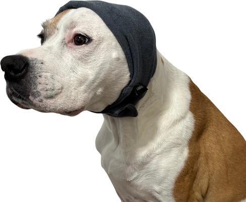 Show full view: Labra Calming Noise Protection Dog Ear Headband, Gray, Small slide 2 of 7