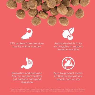 Show full view: Go! Solutions Carnivore Grain-Free Salmon + Cod Recipe Dry Dog Food, 22-lb bag slide 5 of 11