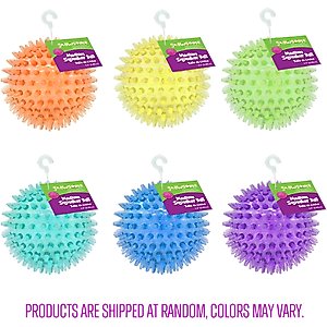 Gnawsome Squeaker Ball Dog Toy, Color Varies, Medium