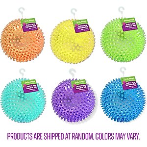 Gnawsome Squeaker Ball Dog Toy, Color Varies, X-Large