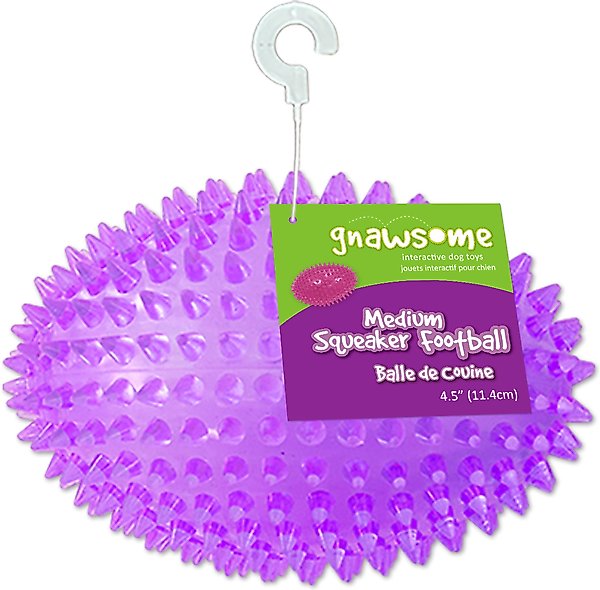 Show full view: Gnawsome Squeaker Football Dog Toy, Color Varies, Medium slide 1 of 9