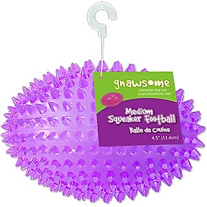Gnawsome Squeaker Football Dog Toy, Color Varies, Medium