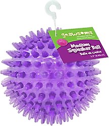 Gnawsome Squeaker Ball Dog Toy, Color Varies, Medium