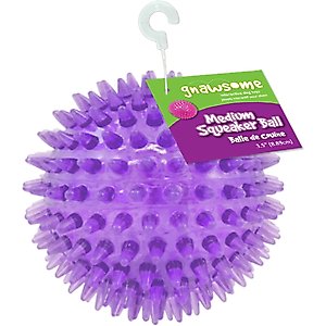 Gnawsome Squeaker Ball Dog Toy, Color Varies, Medium
