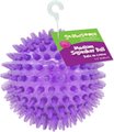Gnawsome Squeaker Ball Dog Toy, Color Varies, Medium