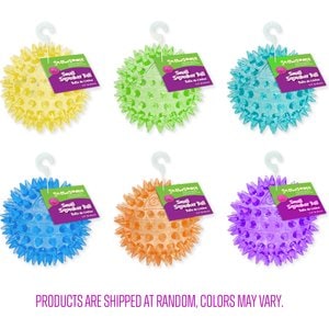 Gnawsome Squeaker Ball Dog Toy, Color Varies, Small
