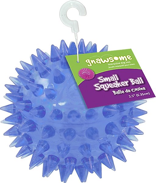Gnawsome Squeaker Ball Dog Toy, Color Varies