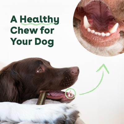 Show full view: Pupford Mint Flavored Dental Dog Treats, 14 count slide 7 of 11