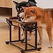 Show in main carousel: RYPetmia Waterproof Bamboo Tray Stainless Steel Elevated Dog & Cat Bowl with Stand, Brown, Small slide 2 of 10