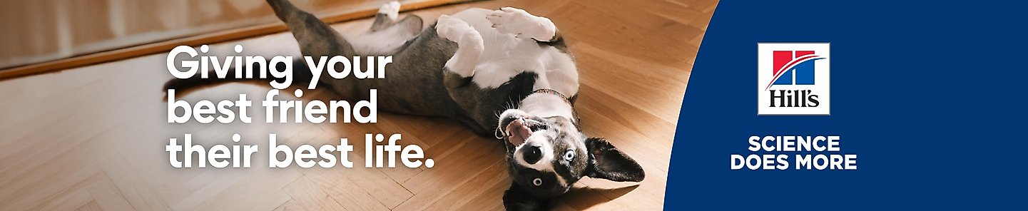 Giving your best friend their best life. Hill's Science does more