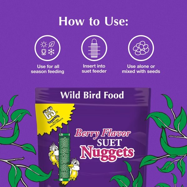 C&S Berry Flavored Suet Nuggets Bird Food, 27-oz bag