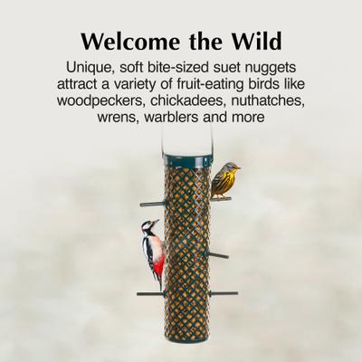 Show full view: C&S Berry Flavored Suet Nuggets Bird Food, 27-oz bag slide 4 of 11