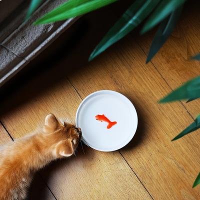 Show full view: Suck UK Goldfish Cat Bowl, Medium slide 5 of 8