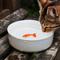 Show in main carousel: Suck UK Goldfish Cat Bowl, Medium slide 3 of 8