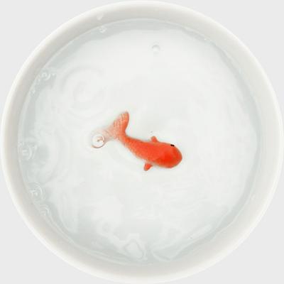 Show full view: Suck UK Goldfish Cat Bowl, Medium slide 6 of 8