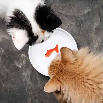 Show full view: Suck UK Goldfish Cat Bowl, Medium slide 2 of 8