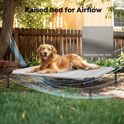 Show full view: Veehoo Double Dog Elevated Dog Bed, Sky Grey, X-Large slide 5 of 9