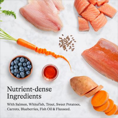 Show full view: American Journey Grain-Free with Salmon, Whitefish & Trout Dry Dog Food, 48-lb bundle slide 7 of 12