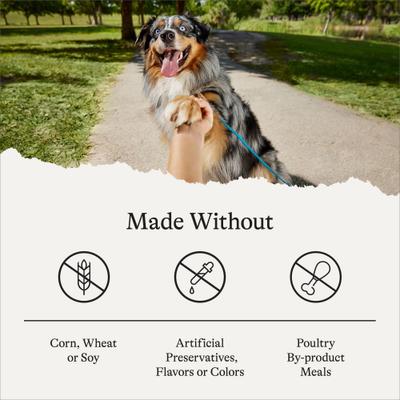 Show full view: American Journey Protein & Grains Large Breed Puppy Chicken, Brown Rice & Vegetables Recipe Dry Dog Food, 56-lb bundle slide 8 of 12