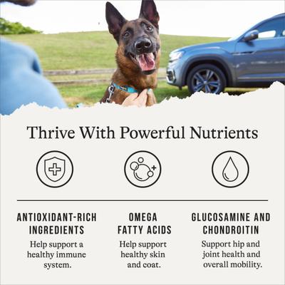 Show full view: American Journey Protein & Grains Senior Chicken, Brown Rice & Vegetables Recipe Dry Dog Food, 56-lb bundle slide 6 of 12