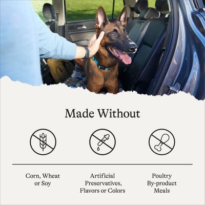 Show full view: American Journey Protein & Grains Senior Chicken, Brown Rice & Vegetables Recipe Dry Dog Food, 56-lb bundle slide 8 of 12