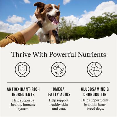 Show full view: American Journey Protein & Grains Large Breed Chicken, Brown Rice & Vegetables Recipe Dry Dog Food, 56-lb bundle slide 6 of 12