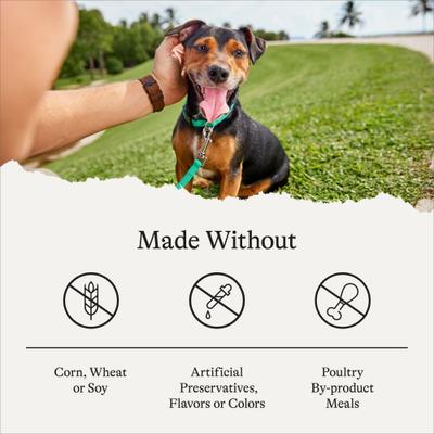 Show full view: American Journey Protein & Grains Small Breed Chicken, Brown Rice & Vegetables Recipe Adult Dry Dog Food, 28-lb bundle slide 8 of 12