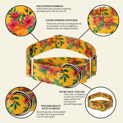 Show full view: Country Brook Petz HossFit Jr Tropical Floral Wide Martingale Dog Collar, Yellow, Medium: 15 to 21-in neck, 1.5-in wide slide 6 of 8