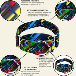 Country Brook Petz HossFit Jr Memphis 90s Wide Martingale Dog Collar, X-Large slide 2 of 8
