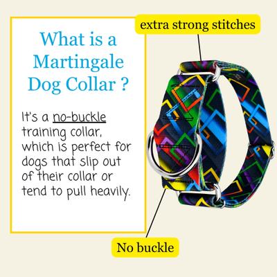 Show full view: Country Brook Petz HossFit Jr Memphis 90s Wide Martingale Dog Collar, X-Large slide 3 of 8