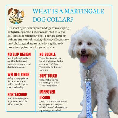 Show full view: Country Brook Petz HossFit Jr Memphis 90s Wide Martingale Dog Collar, X-Large slide 5 of 8