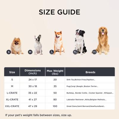 Show full view: Bedsure Orthopedic Dog Beds with Removable Machine Washable Cover, Dark Grey, Large slide 8 of 10