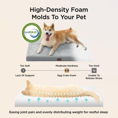 Show full view: Bedsure Orthopedic Dog Beds with Removable Machine Washable Cover, Light Grey, Small slide 3 of 9