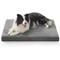 Show in main carousel: Bedsure Orthopedic Dog Beds with Removable Machine Washable Cover, Dark Grey, X-Large slide 1 of 9
