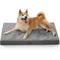 Show in main carousel: Bedsure Orthopedic Dog Beds with Removable Machine Washable Cover, Dark Grey, Large slide 1 of 10