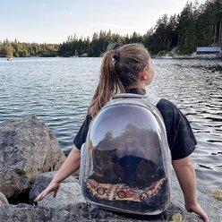 Halinfer Hard-Sided Space Capsule Astronaut Clear Bubble Window Airline-Approved Cat Backpack Carrier with Back Extension, 16.5 x 15 x 13-in, Black slide 2 of 8