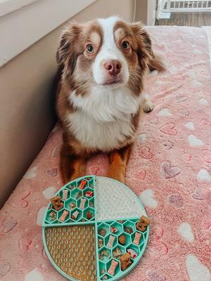 Show full view: Sassy Woof Silicone Dog Lick Mat, Mint slide 5 of 7