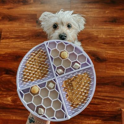 Show full view: Sassy Woof Silicone Dog Lick Mat, Mint slide 7 of 7