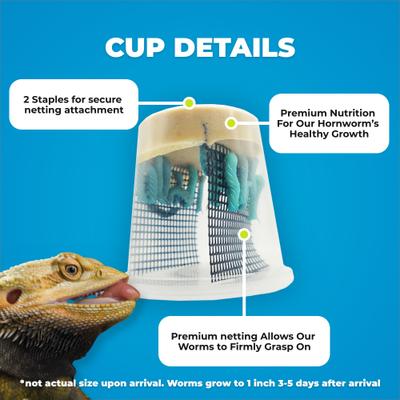 Show full view: Pioneer Feeders Hornworms Live Reptile Food, 50 count slide 4 of 8