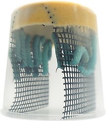 Pioneer Feeders Hornworms Live Reptile Food, 25 count