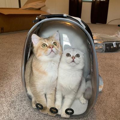 Show full view: Halinfer Hard-Sided Space Capsule Astronaut Clear Bubble Window Airline-Approved Cat Backpack Carrier with Back Extension, 16.5 x 15 x 13-in, Black slide 8 of 8