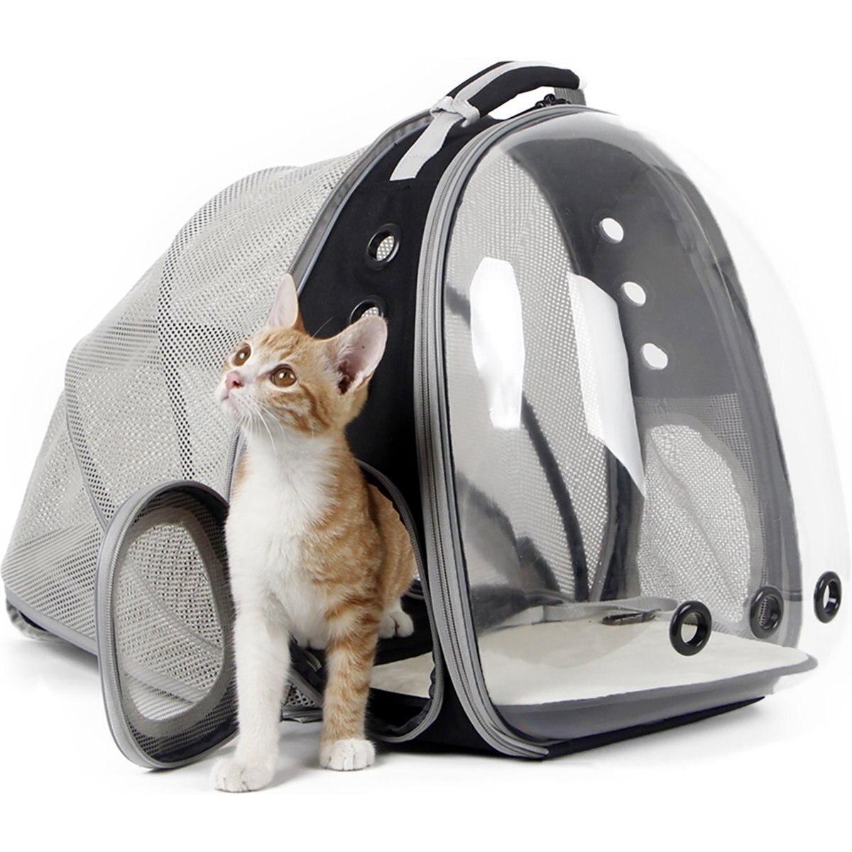 Halinfer Breathable Bubble Cat Backpack Carrier, Black