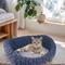 Show in main carousel: Halinfer Bubble Elevated Cat Sofa Bed, Blue, Medium slide 1 of 11