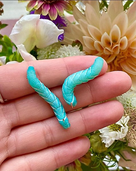 Show full view: Pioneer Feeders Hornworms Live Reptile Food, 50 count slide 6 of 7