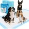 Show in main carousel: Ownpets X-Large Dog Training Pads, 47x31-in, 40 count slide 1 of 8