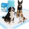 Show in main carousel: Ownpets X-Large Dog Training Pads, 47x31-in, 20 count slide 1 of 7