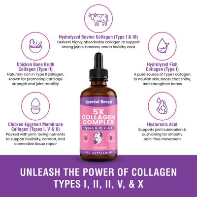 Show full view: Special Breed Premium Liquid Collagen Joint Supplement for Dogs, 4-fl oz bottle slide 4 of 7