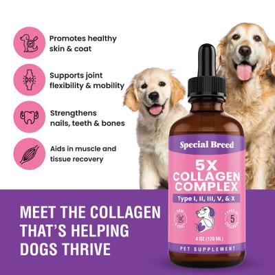 Show full view: Special Breed Premium Liquid Collagen Joint Supplement for Dogs, 4-fl oz bottle slide 3 of 7