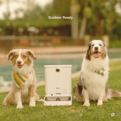 Show full view: PiFi Smart Portion Control WiFi 5G & 2.4G Dual Bin Automatic Dog Multi Feeder, White, 6-liter, Modern Slim slide 4 of 11