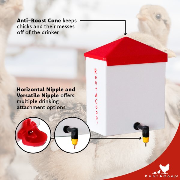 RentACoop Versatile Chicken Waterer, 64-oz